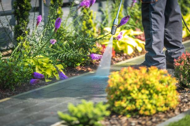 Best Restaurant Pressure Washing  in Greenup, IL