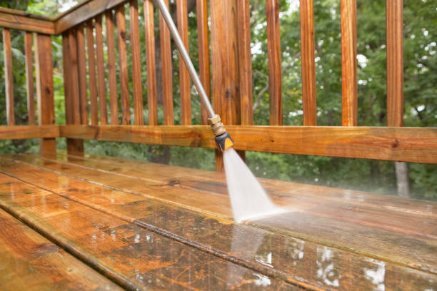 Best Dumpster Area Cleaning  in Greenup, IL